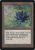 Black Lotus - Limited Edition Beta #233
