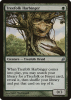 Treefolk Harbinger - Lorwyn #239