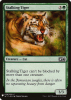 Stalking Tiger - Mystery Booster #1341
