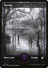 Swamp - Innistrad: Midnight Hunt #272