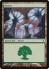 Forest - New Phyrexia #175