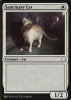 Sanctuary Cat - Arena New Player Experience Cards #8