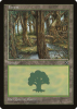 Forest - Portal Second Age #164