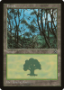 Forest - Portal Second Age #165