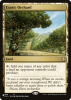Exotic Orchard - The List #C21-288