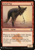 Jackal Pup - The List #A25-139