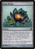 Lotus Bloom - The List #TSP-259