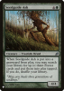 Seedguide Ash - The List #LRW-235