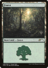 Forest - M20 Promo Packs #5