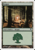Forest - Salvat 2005 #D11