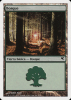 Forest - Salvat 2005 #J8