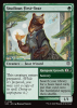 Studious First-Year - Secrets of Strixhaven #162