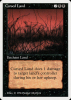 Cursed Land - Summer Magic / Edgar #98