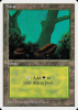Forest - Summer Magic / Edgar #304