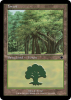 Forest - Magic Online Theme Decks #A155