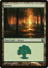 Forest - Theros #248