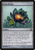 Lotus Bloom - Time Spiral #259