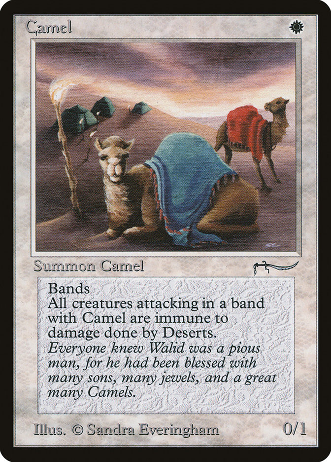 Camel by Sandra Everingham #3