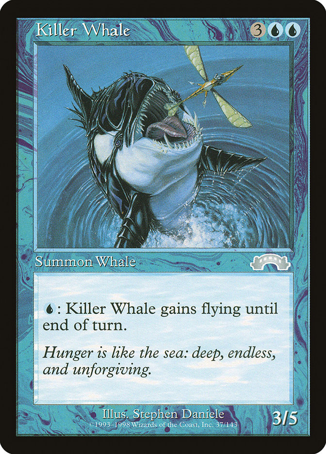 Killer Whale by Stephen Daniele #37