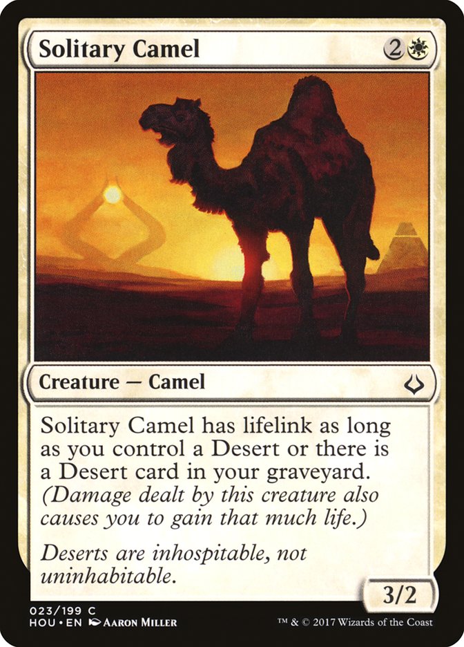 Solitary Camel by Aaron Miller #23