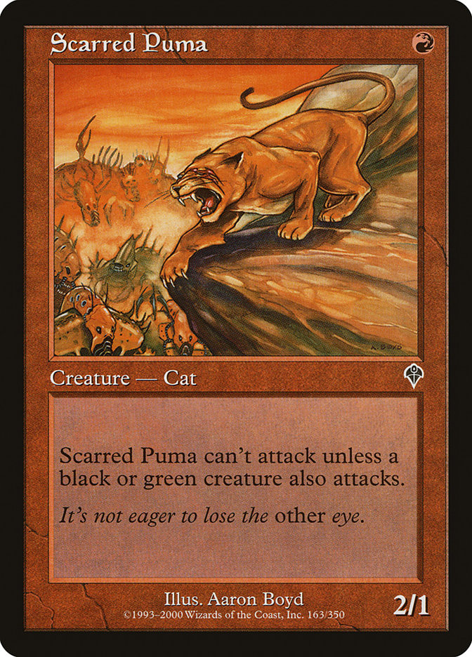 Scarred Puma by Aaron Boyd #163