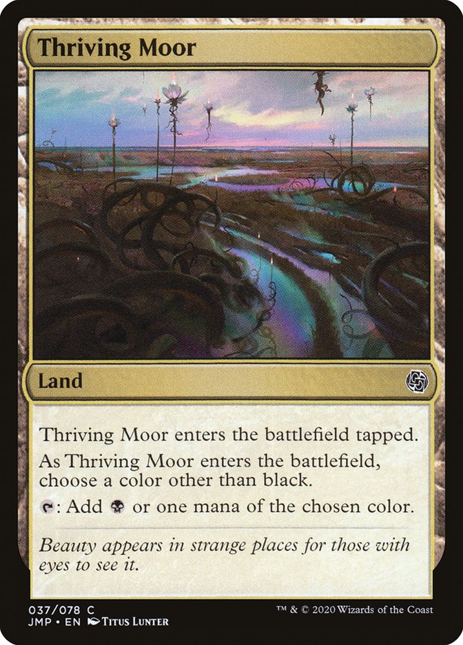 Thriving Moor by Titus Lunter #37