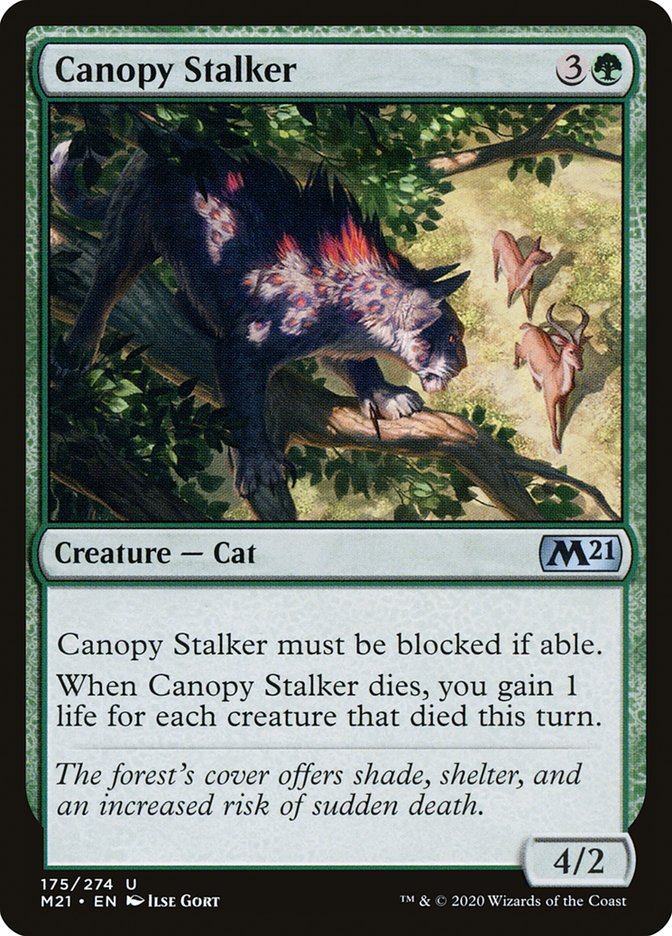 Canopy Stalker by Ilse Gort #175
