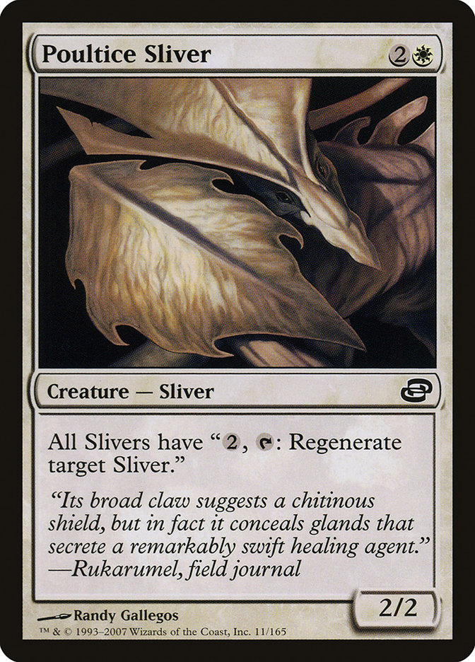 Poultice Sliver by Randy Gallegos #11