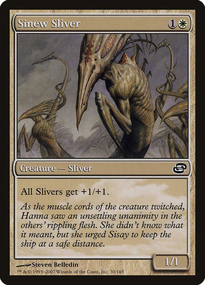 Sinew Sliver by Steven Belledin #30
