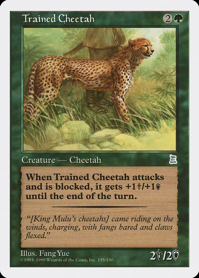 Trained Cheetah by Fang Yue #154